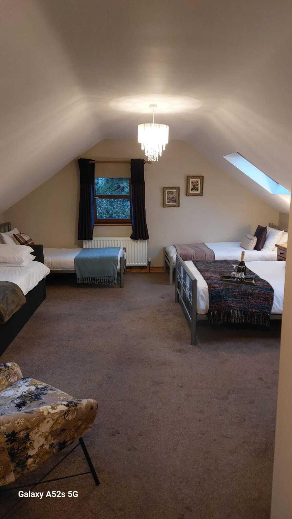 Dunhill Cottage B&B Hillsborough Zimmer foto